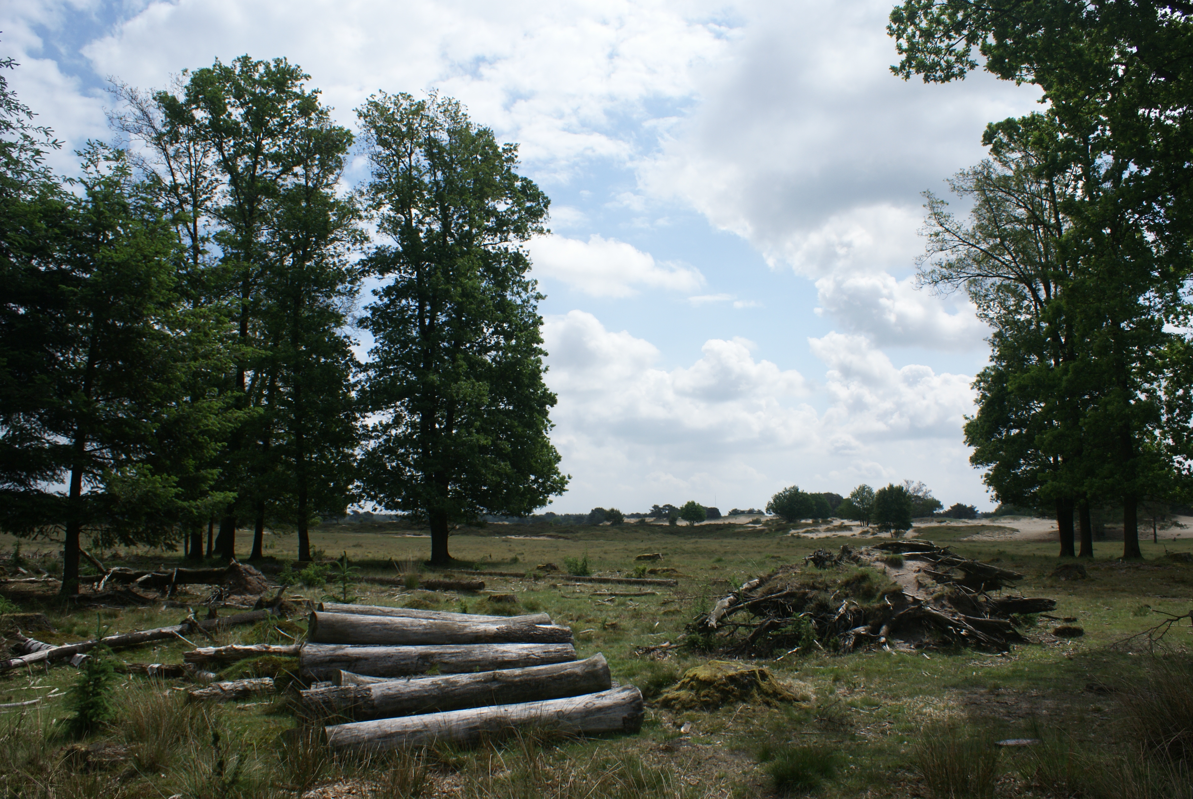 Moorland, forest, sand dunes...